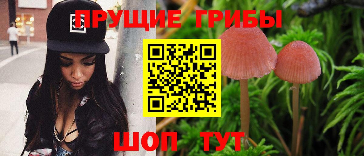 Березники  Галлюциногенные грибы Magic Shrooms  Галлюциногенные грибы прущие грибы  Вход с VPN 